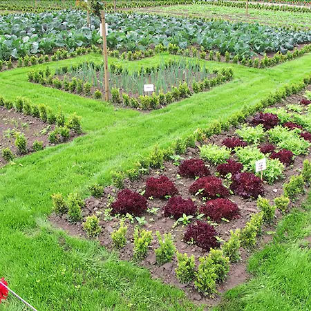 La Chartreuse Du Val Saint Esprit 4* Gosnay