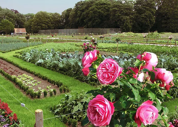 Hotel La Chartreuse Du Val Saint Esprit 4*